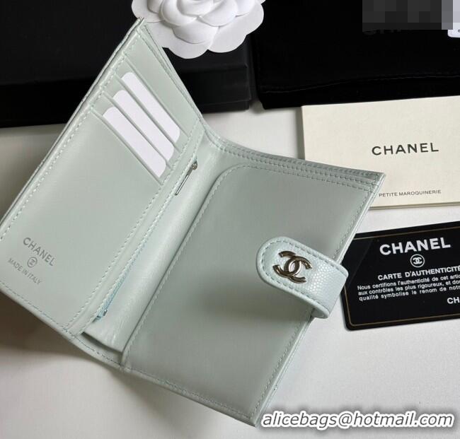 Cheapest Chanel Grained Calfskin Passport Cover A3658 Pale Green/Silver 2025