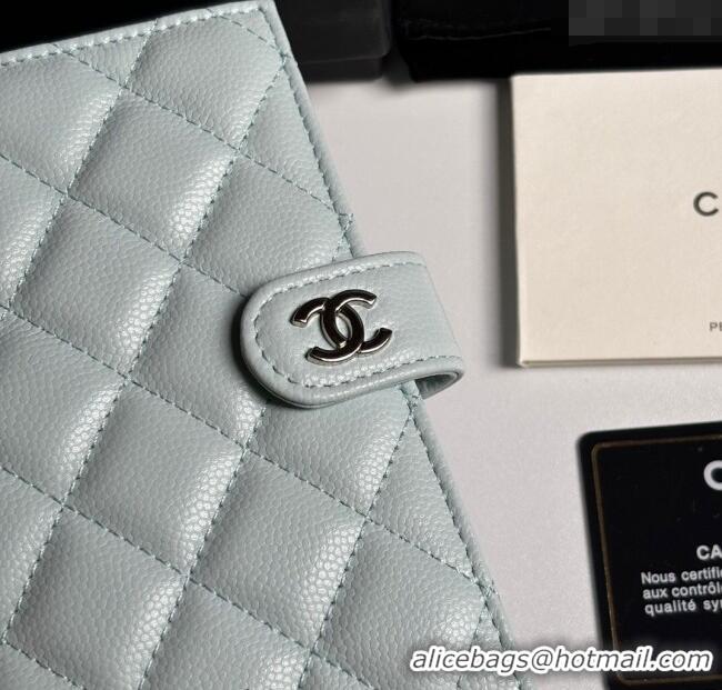 Cheapest Chanel Grained Calfskin Passport Cover A3658 Pale Green/Silver 2025