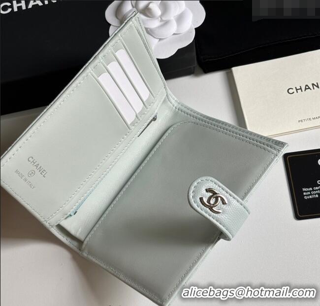 Cheapest Chanel Grained Calfskin Passport Cover A3658 Pale Green/Silver 2025