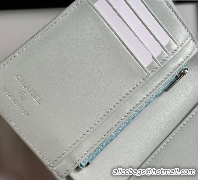 Cheapest Chanel Grained Calfskin Passport Cover A3658 Pale Green/Silver 2025