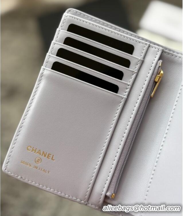 Good Quality Chanel Grained Calfskin Passport Cover A3658 Light Grey 2025