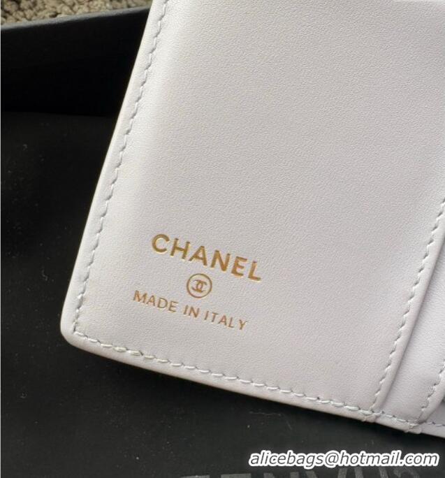 Good Quality Chanel Grained Calfskin Passport Cover A3658 Light Grey 2025