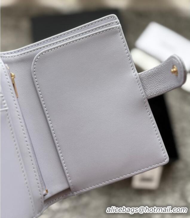 Good Quality Chanel Grained Calfskin Passport Cover A3658 Light Grey 2025
