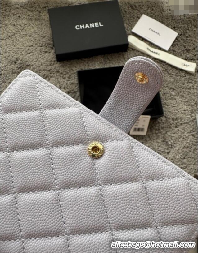Good Quality Chanel Grained Calfskin Passport Cover A3658 Light Grey 2025