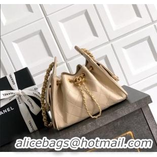 Most Popular Chanel 25 Mini Hobo Handbag in Grained Calfskin AS5631 Beige 2025