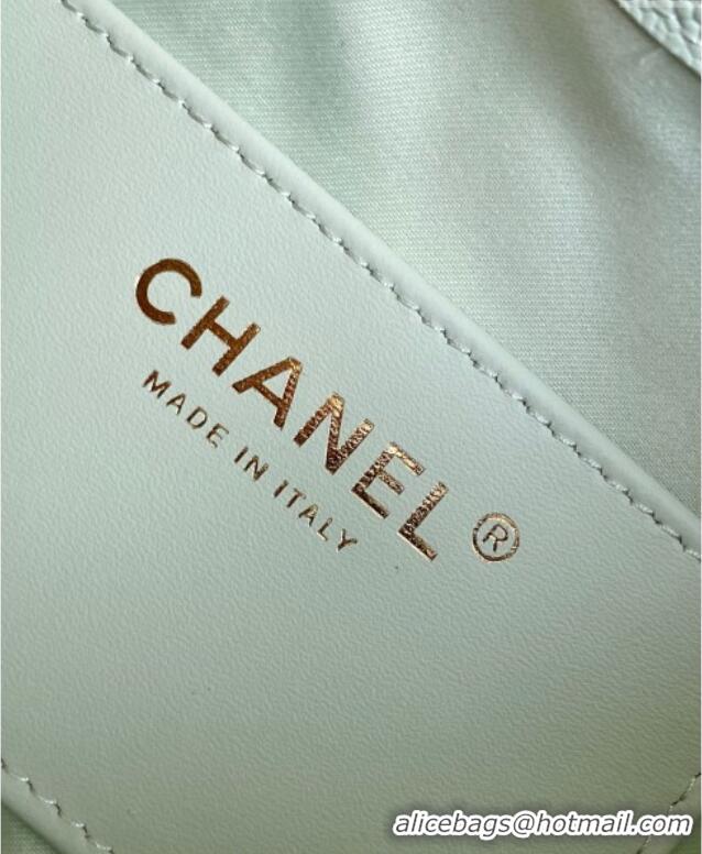 Top Grade Chanel 25 Mini Hobo Handbag in Grained Calfskin AS5631 Light Green 2025