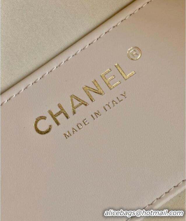 New Fashion Chanel 25 Mini Hobo Handbag in Grained Calfskin AS5631 White 2025