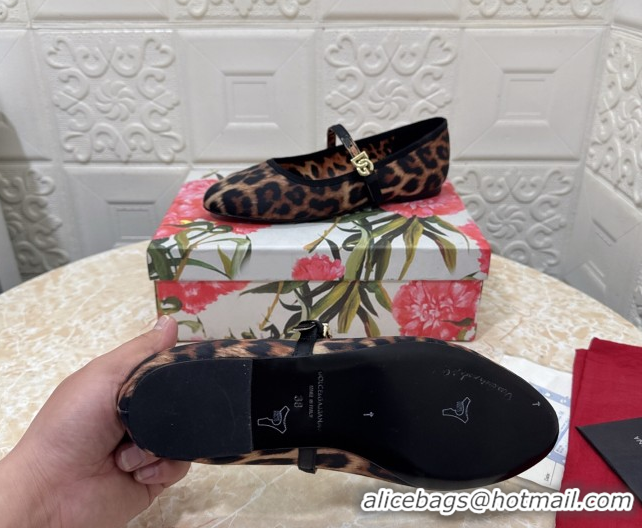 Best Price Dolce & Gabbana Leopard-print Velvet Ballet Flats Brown DG042801
