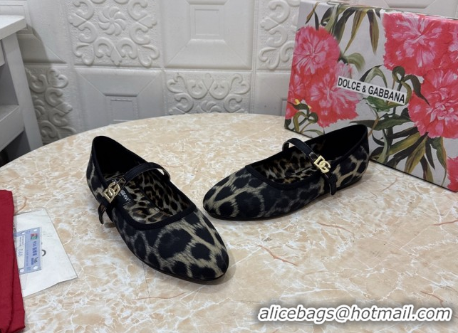 Unique Style Dolce & Gabbana Leopard-print Velvet Ballet Flats Grey DG042801
