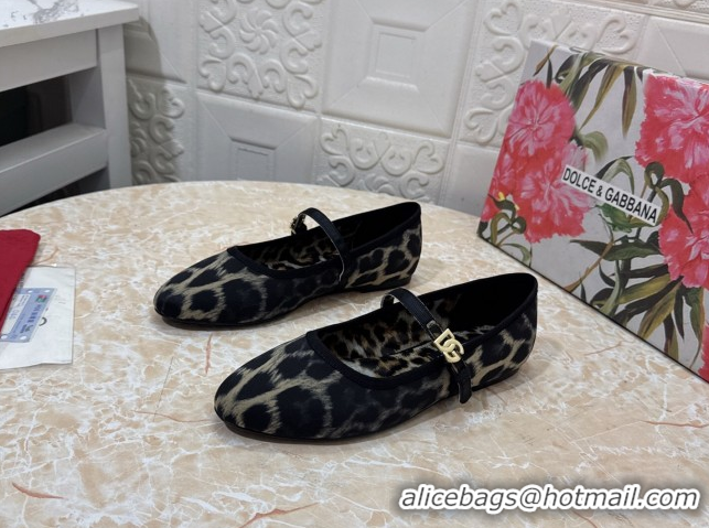Unique Style Dolce & Gabbana Leopard-print Velvet Ballet Flats Grey DG042801