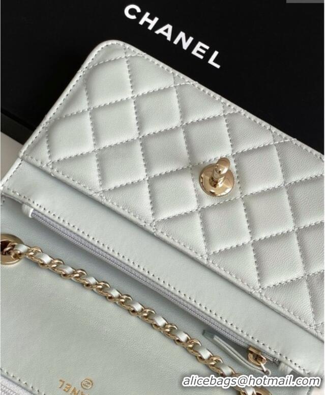 Low Cost Chanel Lambskin Wallet On Chain WOC with Strass and Top Band AP4323 Light Grey 2025