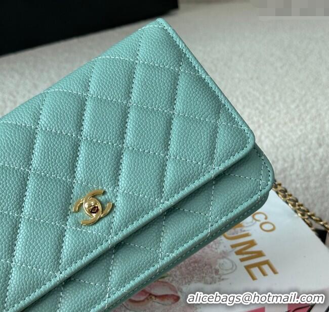 Well Crafted Chanel Grained Calfskin Classic Wallet on Chain WOC AP4241 Light Green/Gold 2025