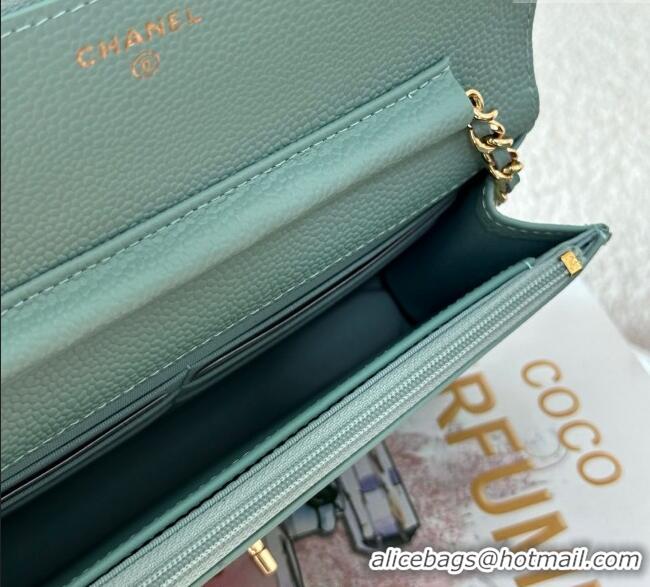 Well Crafted Chanel Grained Calfskin Classic Wallet on Chain WOC AP4241 Light Green/Gold 2025