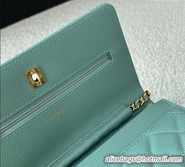 Well Crafted Chanel Grained Calfskin Classic Wallet on Chain WOC AP4241 Light Green/Gold 2025