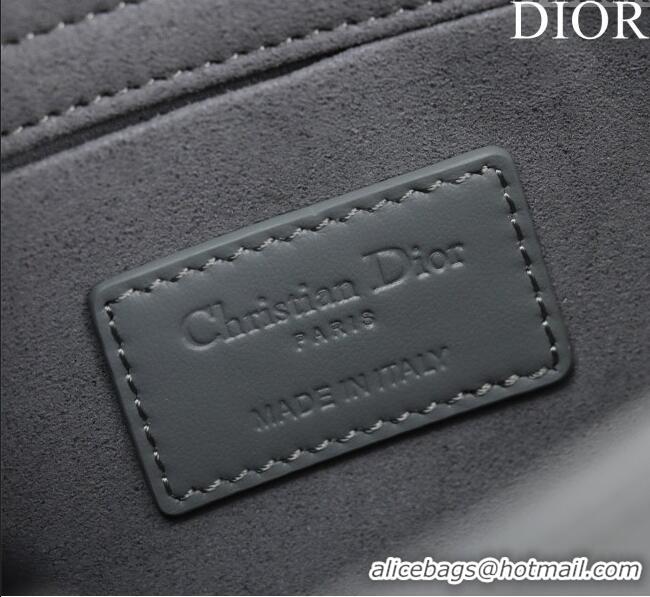 Grade Quality Dior Medium Lady D-Joy Bag in Cannage Leather M0540 All Grey 2025