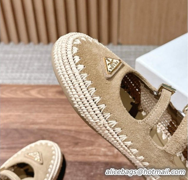 Shop Duplicate Prada Suede and raffia straw ballerinas flat Beige 2025 1F869N