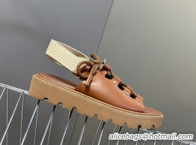 Buy New Cheap Celine Billie Chunky Sandals in Calfskin and Textile Brown 0604001