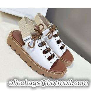 Top Grade Celine Billie Chunky Sandals in Calfskin and Textile White 0604002