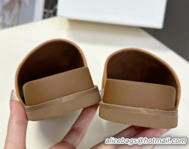 Grade Quality Celine Triomphe Suede Slides Sandals Brown 2025 CL060401