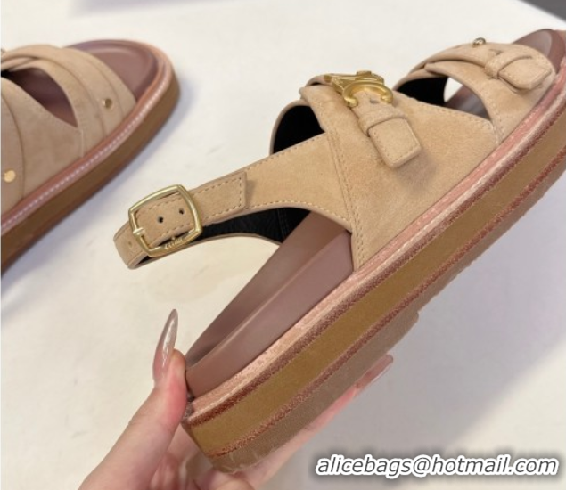 Stylish Celine Tippi Triomphe Flat Sandals in Suede Beige 0709070