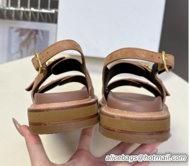 Most Popular Celine Tippi Triomphe Flat Sandals in Suede Brown 0709072