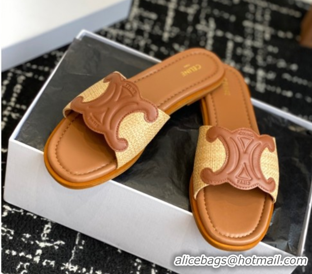 Discount Celine Clemence Flat Slides Sandal in Straw-Like Beige 0709081