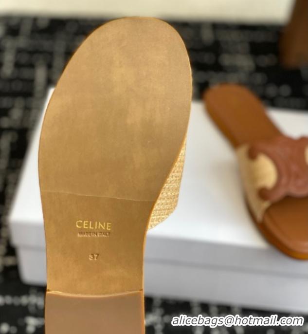 Discount Celine Clemence Flat Slides Sandal in Straw-Like Beige 0709081