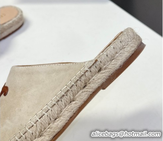 Best Product Celine Platform Les Espadrilles Mules in Suede Beige 0709099