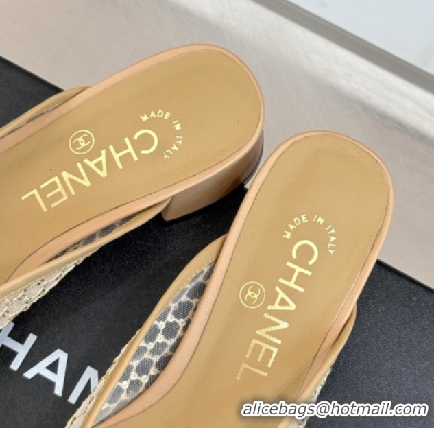 Pretty Style Chanel Mesh Heel Mules Beige 2025 CH061014