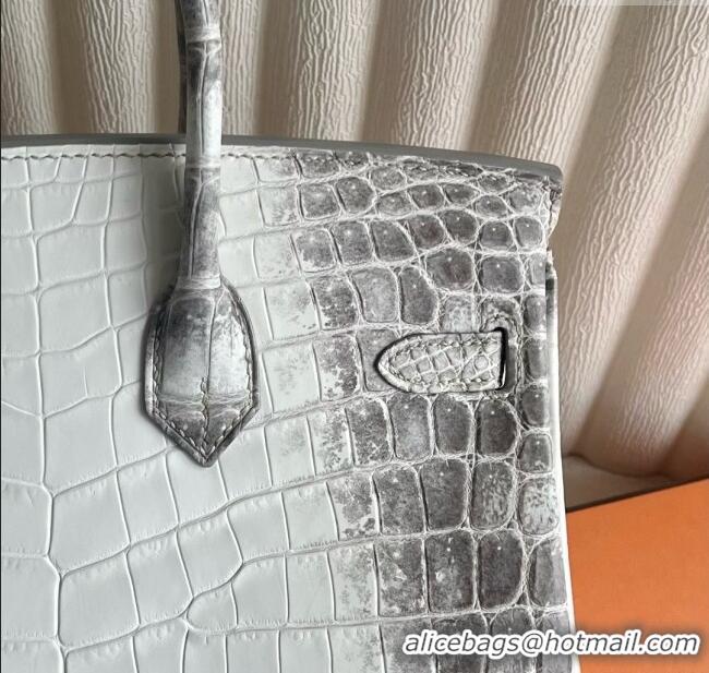 Unique Grade Hermes Himalayan Birkin 25 Bag in Original Crocodile Leather HB25 White/Silver 2025 (Full Handmade)