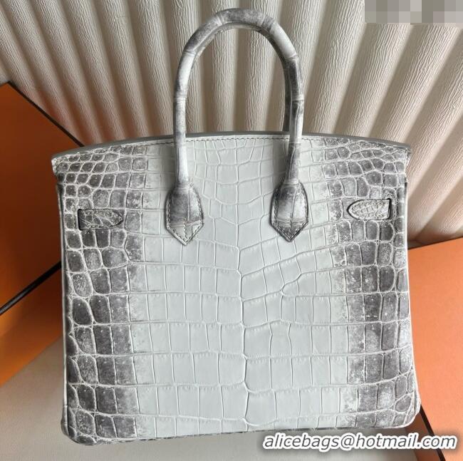 Unique Grade Hermes Himalayan Birkin 25 Bag in Original Crocodile Leather HB25 White/Silver 2025 (Full Handmade)