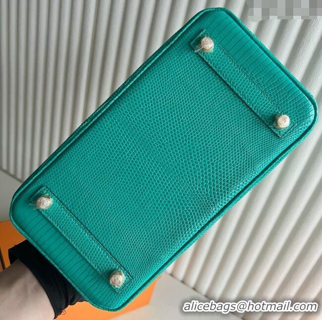 Top Grade Hermes Birkin 25 Bag in Varanus Niloticus Lizard Leather HB25 OZ Comic Green/Gold 2025 (Full Handmade)