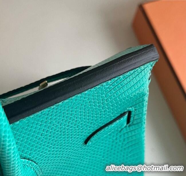 Top Grade Hermes Birkin 25 Bag in Varanus Niloticus Lizard Leather HB25 OZ Comic Green/Gold 2025 (Full Handmade)