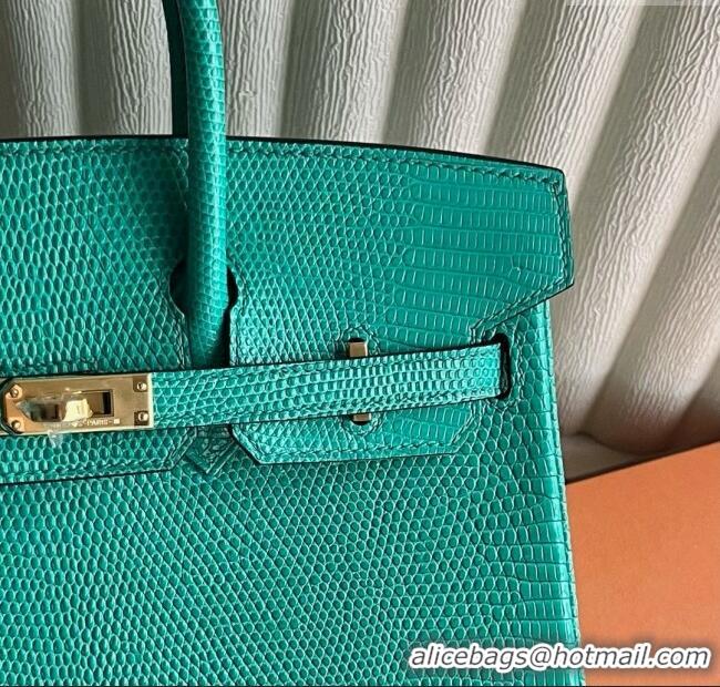 Top Grade Hermes Birkin 25 Bag in Varanus Niloticus Lizard Leather HB25 OZ Comic Green/Gold 2025 (Full Handmade)