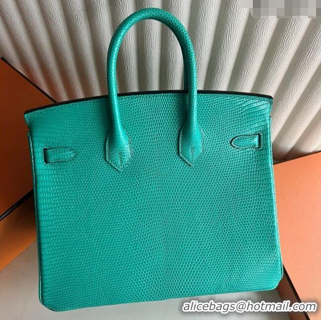 Top Grade Hermes Birkin 25 Bag in Varanus Niloticus Lizard Leather HB25 OZ Comic Green/Gold 2025 (Full Handmade)