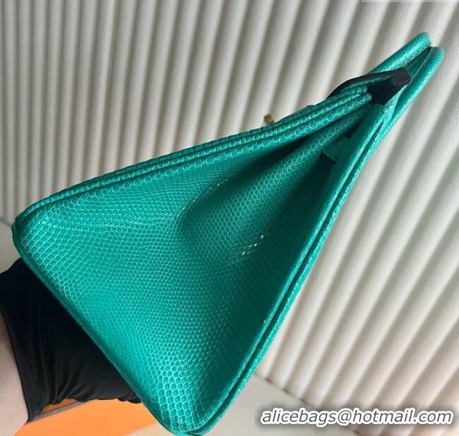 Top Grade Hermes Birkin 25 Bag in Varanus Niloticus Lizard Leather HB25 OZ Comic Green/Gold 2025 (Full Handmade)