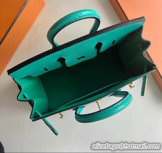 Top Grade Hermes Birkin 25 Bag in Varanus Niloticus Lizard Leather HB25 OZ Comic Green/Gold 2025 (Full Handmade)