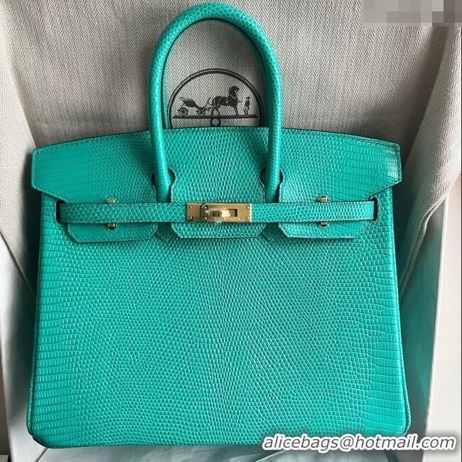 Top Grade Hermes Birkin 25 Bag in Varanus Niloticus Lizard Leather HB25 OZ Comic Green/Gold 2025 (Full Handmade)