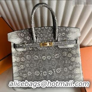 Super Quality Hermes Ombre Birkin 25cm of Varanus Salvator Lizard Leather HB25 2025 (Full Handmade)