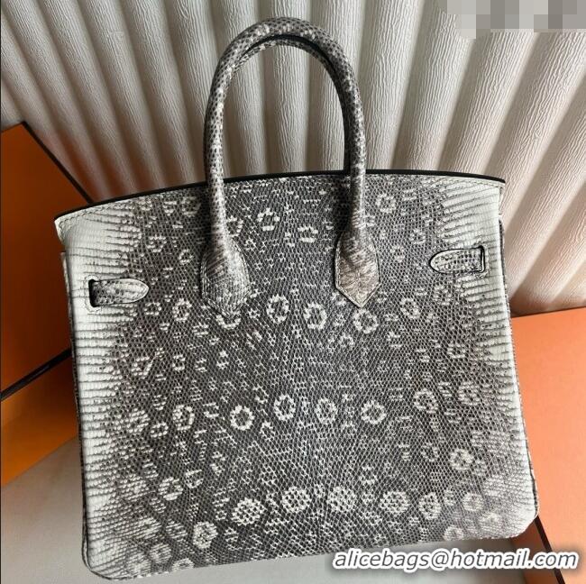 Super Quality Hermes Ombre Birkin 25cm of Varanus Salvator Lizard Leather HB25 2025 (Full Handmade)