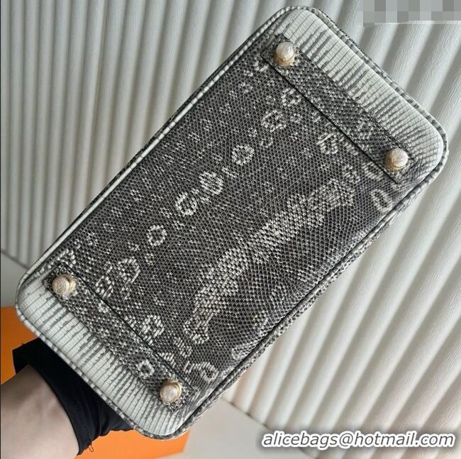 Super Quality Hermes Ombre Birkin 25cm of Varanus Salvator Lizard Leather HB25 2025 (Full Handmade)