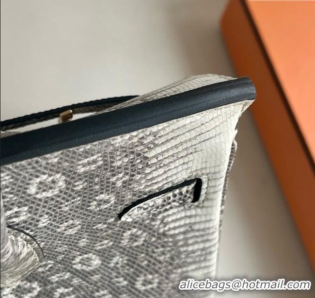 Super Quality Hermes Ombre Birkin 25cm of Varanus Salvator Lizard Leather HB25 2025 (Full Handmade)