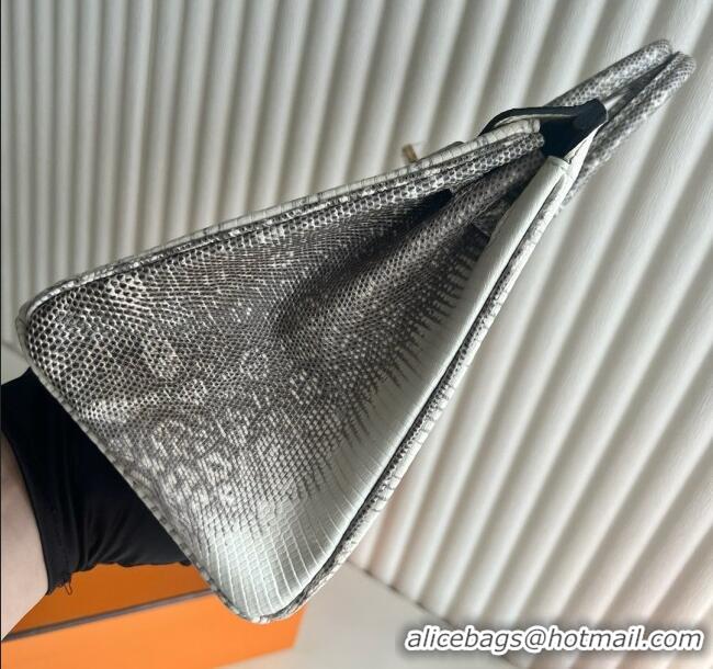 Super Quality Hermes Ombre Birkin 25cm of Varanus Salvator Lizard Leather HB25 2025 (Full Handmade)