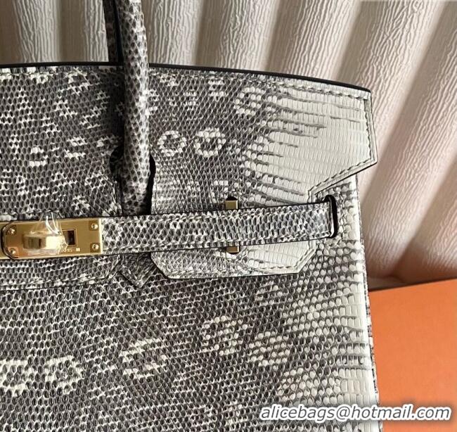 Super Quality Hermes Ombre Birkin 25cm of Varanus Salvator Lizard Leather HB25 2025 (Full Handmade)