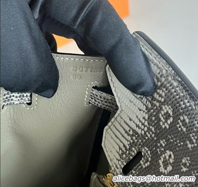 Super Quality Hermes Ombre Birkin 25cm of Varanus Salvator Lizard Leather HB25 2025 (Full Handmade)