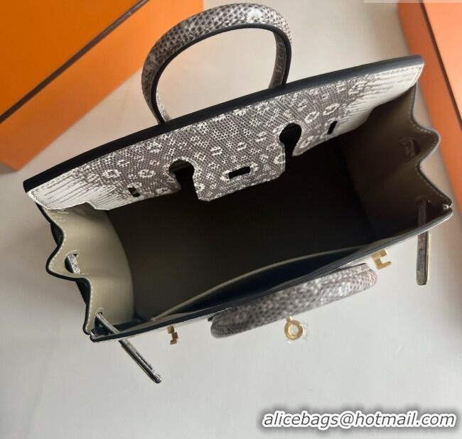 Super Quality Hermes Ombre Birkin 25cm of Varanus Salvator Lizard Leather HB25 2025 (Full Handmade)