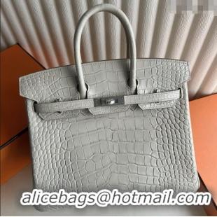 Buy Discount Hermes Birkin 25 Bag in Original Matte Alligator Leather HB25 8L Cream White/Silver 2025 (Full Handmade)