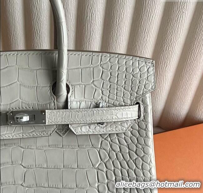 Buy Discount Hermes Birkin 25 Bag in Original Matte Alligator Leather HB25 8L Cream White/Silver 2025 (Full Handmade)