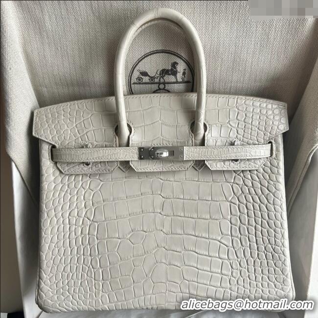 Buy Discount Hermes Birkin 25 Bag in Original Matte Alligator Leather HB25 8L Cream White/Silver 2025 (Full Handmade)