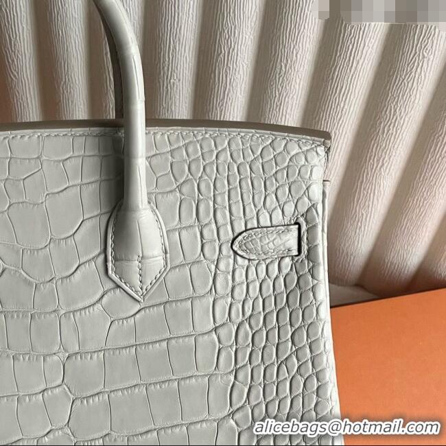 Buy Discount Hermes Birkin 25 Bag in Original Matte Alligator Leather HB25 8L Cream White/Silver 2025 (Full Handmade)